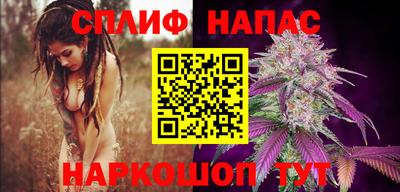 стафф Обнинск