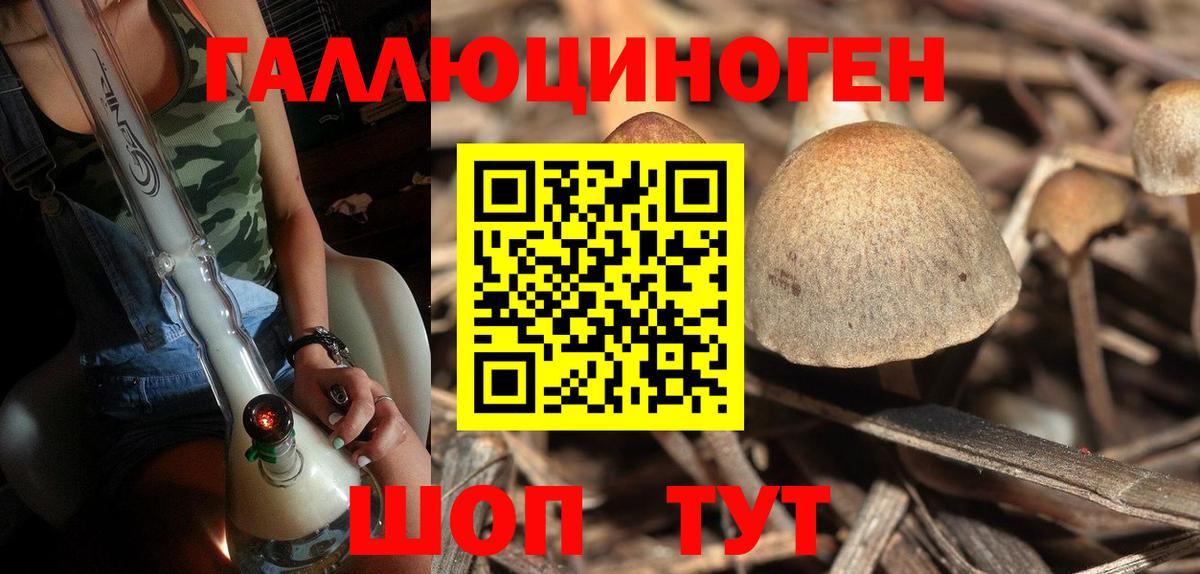 Галлюциногенные грибы Cubensis  Вход с VPN  Тула 
